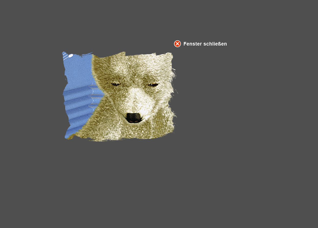 Gro&szlig;e Abbildung Ausschnitt Digital-Montage "Klimawandel in der Arktis: Kopf vom kleinen Eisb&auml;ren"