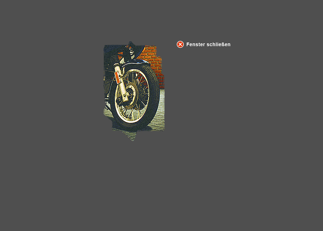 Abbildung vergr&ouml;&szlig;erter Ausschnitt aus &Ouml;l-Bild "Motorrad"